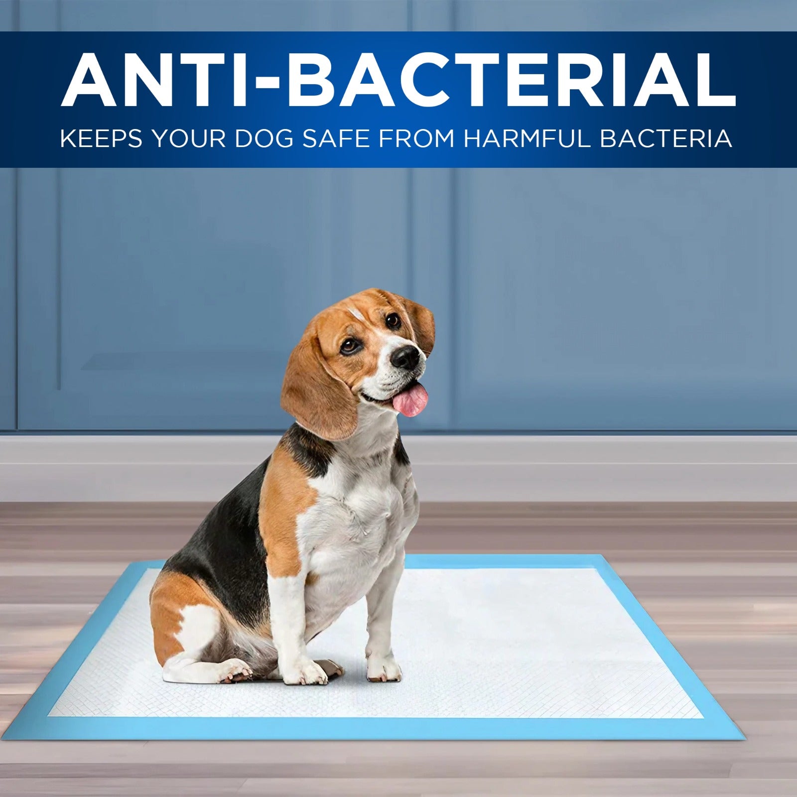 Puppy Pads 60 x 60 Pack Of 100