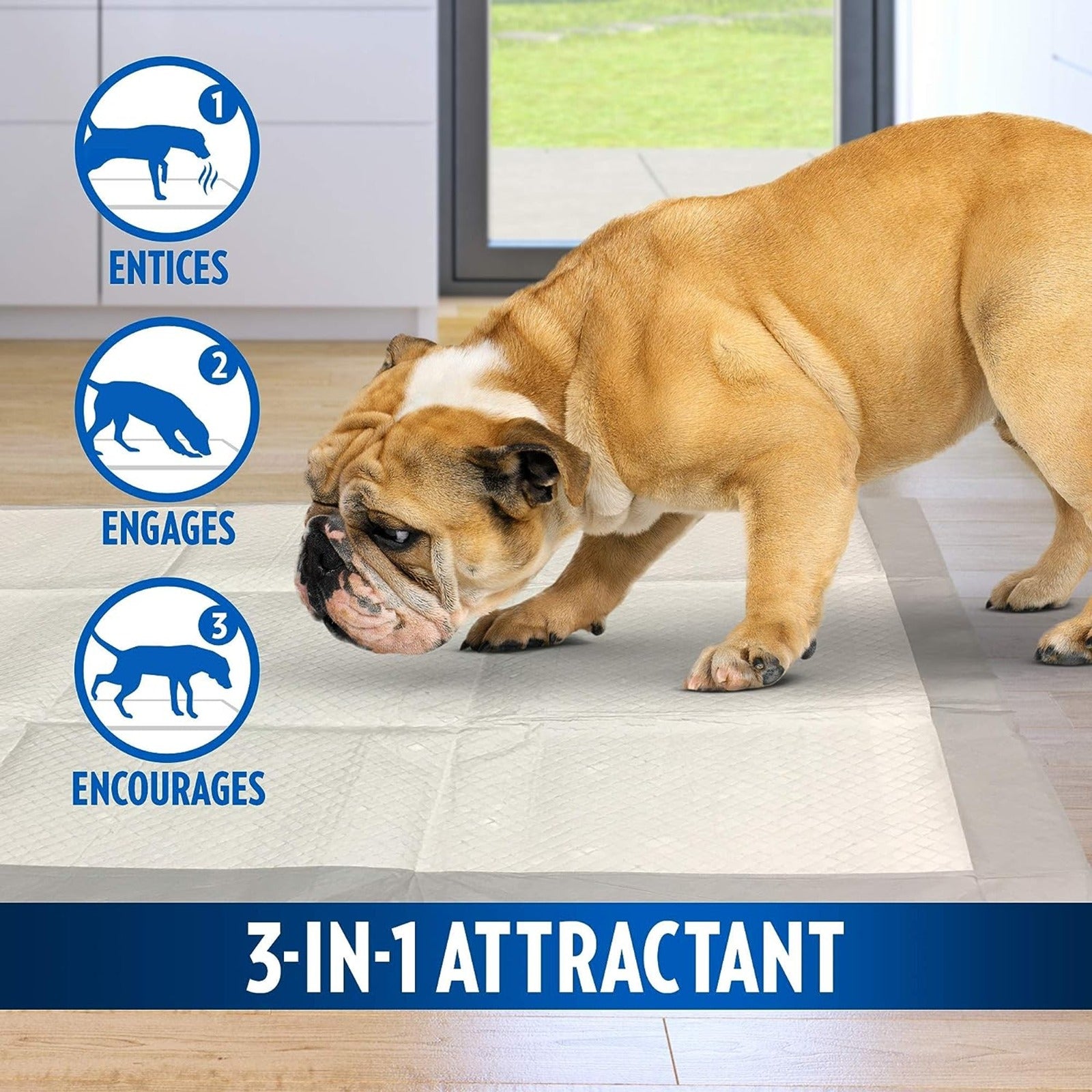 Puppy Pads 60 x 60 Pack Of 100