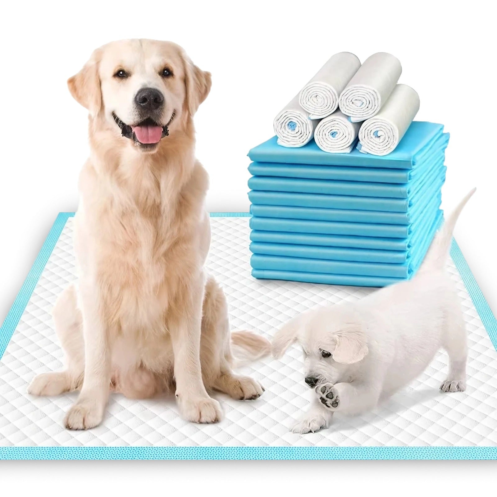 Puppy Pads 60 x 60 Pack Of 100